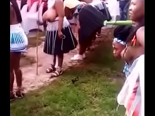 南非部落妇女大山雀