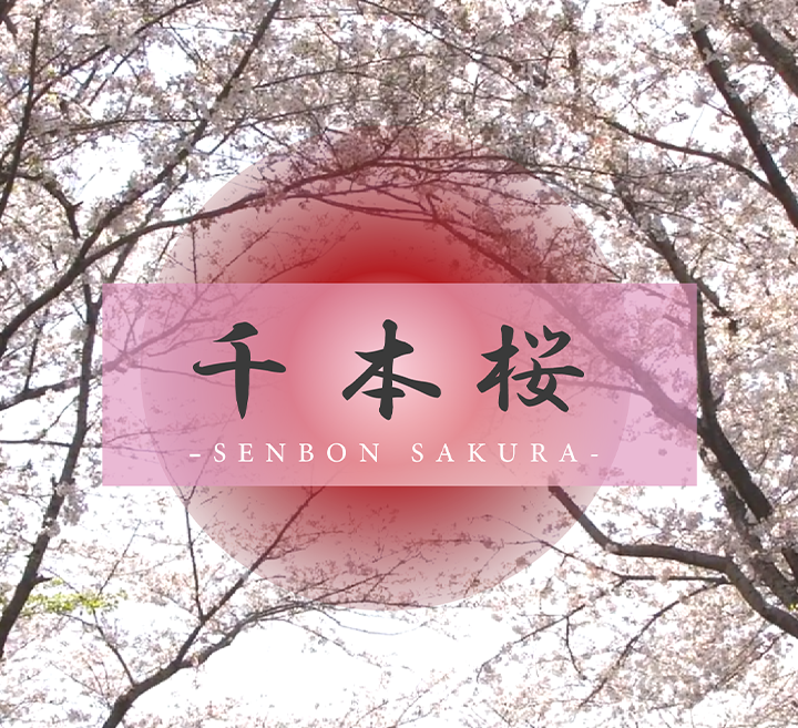 FC2-4493353 【プレミア級の極上女○○生Ⅰ＆Ⅱ】 圧倒的可愛さと隠し切れない性への欲望。フォロワー○万